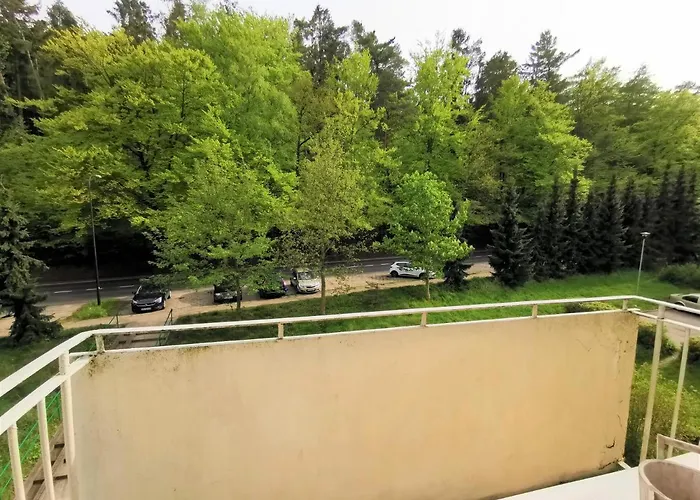 Euro24 Tulipan - Kolberga *