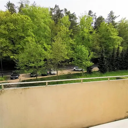 Euro24 Tulipan - Kolberga *