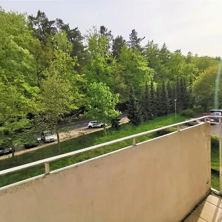 Euro24 Tulipan - Kolberga Sopot