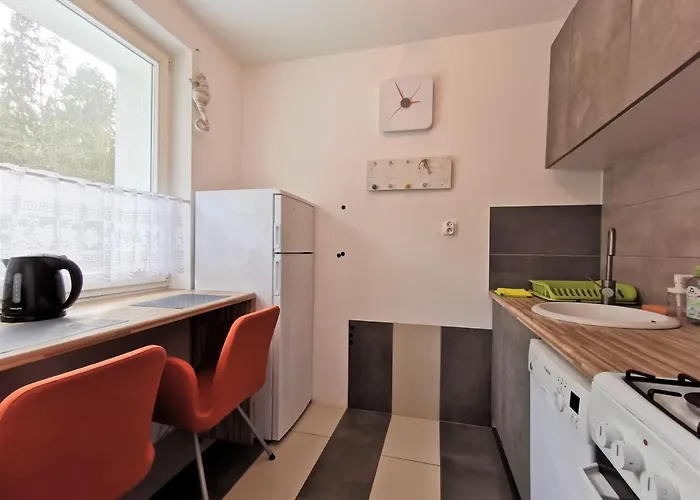 Euro24 Tulipan - Kolberga *