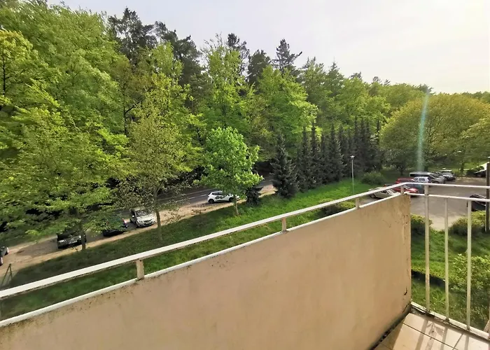 Euro24 Tulipan - Kolberga سوبوت